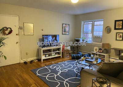 Brighton Spacious 2 bed 1 bath available 9/1 on Chiswick Rd in Brighton!  Boston - $2,920