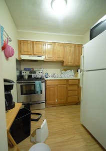 Allston Best Deal Alert! Spacious 1 Bed 1 Bath apartment in Radcliffe Rd Boston - $2,350