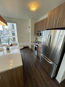 South End Amazing Luxurious 2 bed apartment in Harrison St Boston - $5,243