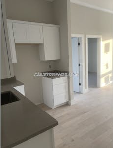 Allston Apartment for rent 2 Bedrooms 2 Baths Boston - $7,395 No Fee