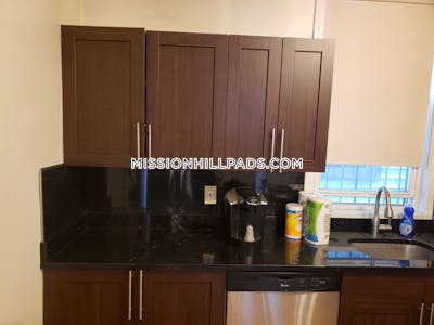 Mission Hill Apartment for rent 3 Bedrooms 1 Bath Boston - $3,400