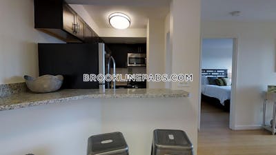 Brookline Apartment for rent 1 Bedroom 1 Bath  Boston University - $3,100