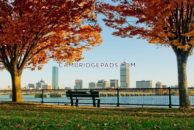Cambridge Apartment for rent 2 Bedrooms 2 Baths  Alewife - $4,593 No Fee