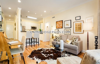 Cambridge Apartment for rent 1 Bedroom 1 Bath  Harvard Square - $3,555 No Fee