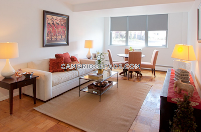Cambridge Apartment for rent Studio 1 Bath  Porter Square - $2,385 No Fee