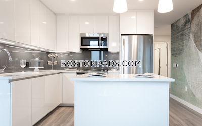 West End Apartment for rent 2 Bedrooms 2 Baths Boston - $11,601