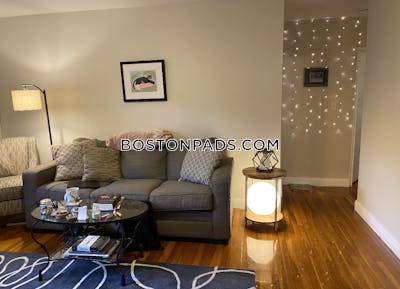 Brighton Apartment for rent 2 Bedrooms 1 Bath Boston - $2,920