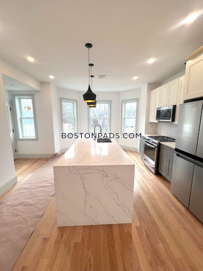 Dorchester Apartment for rent 3 Bedrooms 2 Baths Boston - $3,900