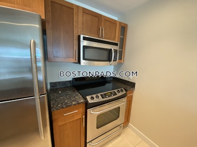 West End Apartment for rent 1 Bedroom 1 Bath Boston - $3,395