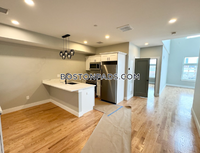 Dorchester Apartment for rent 2 Bedrooms 2 Baths Boston - $3,000 No Fee