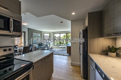 Allston Apartment for rent 2 Bedrooms 2 Baths Boston - $4,950