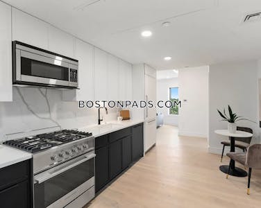 Brighton Apartment for rent Studio 1 Bath Boston - $3,350
