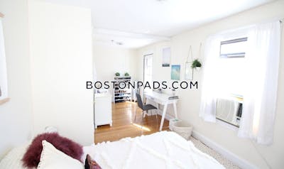Brighton Apartment for rent 5 Bedrooms 3 Baths Boston - $9,000