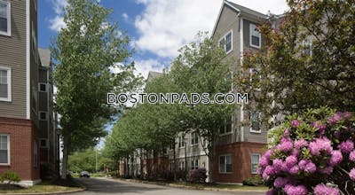 Woburn Apartment for rent 1 Bedroom 1 Bath - $2,455 No Fee